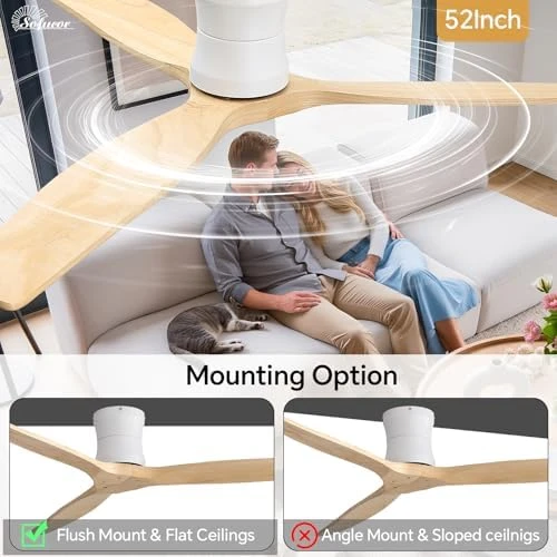 Smart Ceiling Fan with Remote — Smart Fan, Sofucor