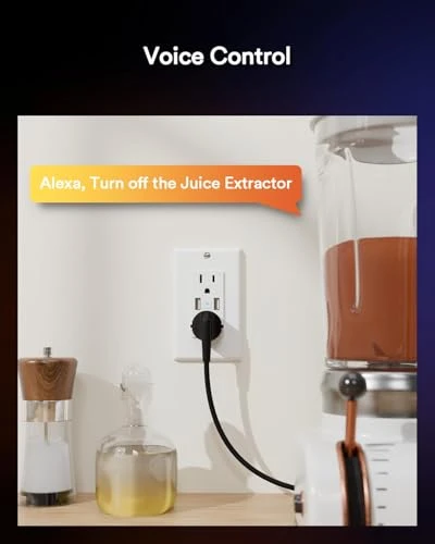 Smart Outlet with USB Ports — Smart Plug, iLintek