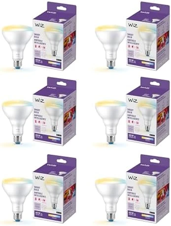 65W BR30 Soft White LED Smart Bulb - Pack of 6 — Smart Light Bulb, WiZ Connected