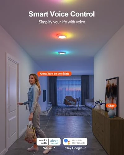 Smart LED Disk Light Pro 4-Pack — Smart Light Bulb, Lumary