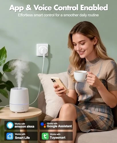 Mini Smart Plugs — Smart Plug, LanOcean