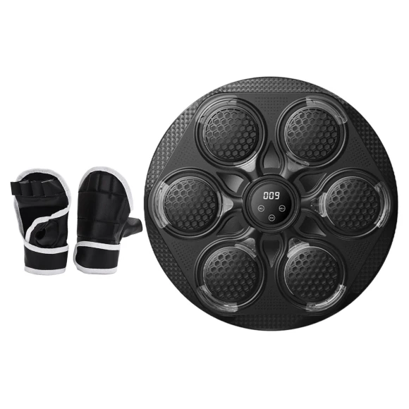 LED Bluetooth Smart Electronic Music Training Boxing Bag — Smart Boxing Trainer, Binchi Keji Travel