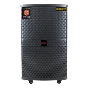 15-Inch Trolley DJ Karaoke Speaker with Bluetooth TWS — Karaoke Machine, Temeisheng