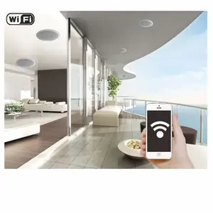 Wireless WiFi Ceiling Speaker — Smart Speaker