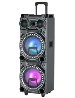 Dual 10-inch Bluetooth Karaoke Box Speaker with LED Light — Karaoke Machine
