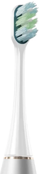 Electric toothbrush — Electric Toothbrush, WAU
