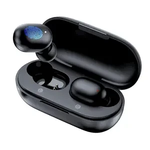 Wireless earbuds — Wireless Earbuds, Haylou