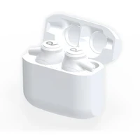 TWS Noise-Cancelling Wireless Earbuds — Wireless Earbuds