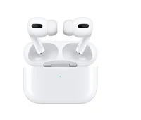 Wireless earbuds — Wireless Earbuds