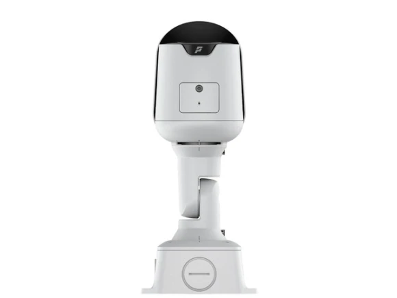 Sarix Professional 4 Series Dome Camera — Security Camera, Pelco