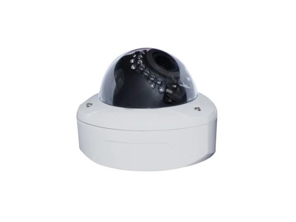 Fisheye Panoramic Mini Vandal Camera — Security Camera, Bluecctv