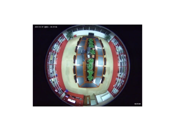 Fisheye Panoramic Mini Vandal Camera — Security Camera, Bluecctv
