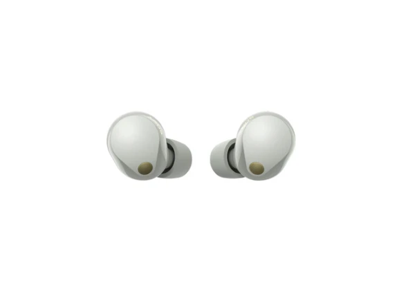 True Wireless In-Ear Headphones — Wireless Earbuds, Sony