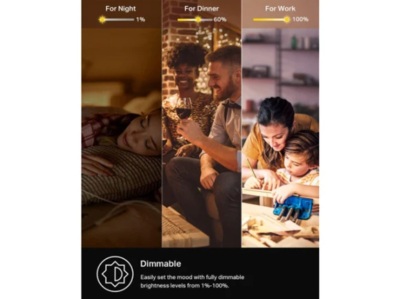Motion Sensor Dimmer Light Switch — Smart Switch, TP-Link