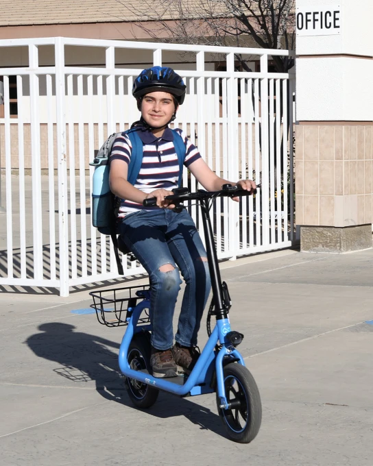 Electric Scooter for Adults with Seat, 20-25 Miles Range, 450W Motor — Electric Scooter, Gyroor