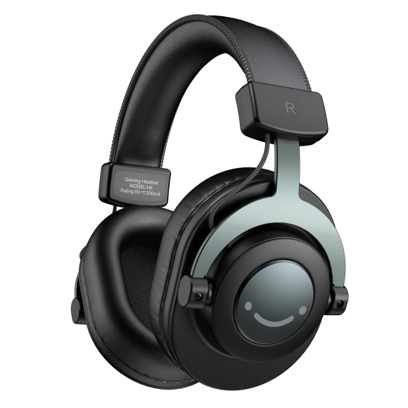 Studio Monitor Headphones for Recording, FIFINE