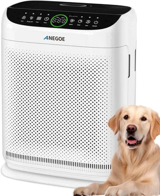 Large Room Air Purifier — Air Purifier, AnEgoe