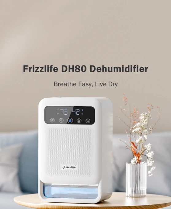 Dehumidifier With Air Purifier — Dehumidifier, FRIZZLIFE