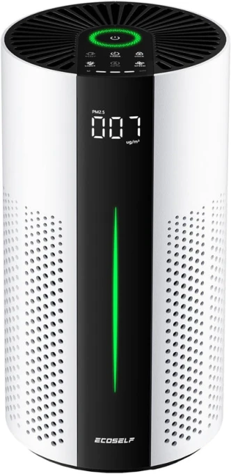 Air Purifier for Large Rooms — Air Purifier, ECOSELF