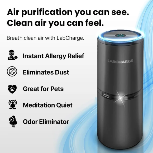Small Ionic Air Purifier for Home & Bedroom – Silent HEPA Filter – Covers 250 Sq Ft – For Pet Hair, Smoke, Dust, Odors &... — Air Purifier, Lab Charge