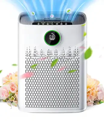 Smart Air Purifier for Large Rooms — Air Purifier, ECOSELF