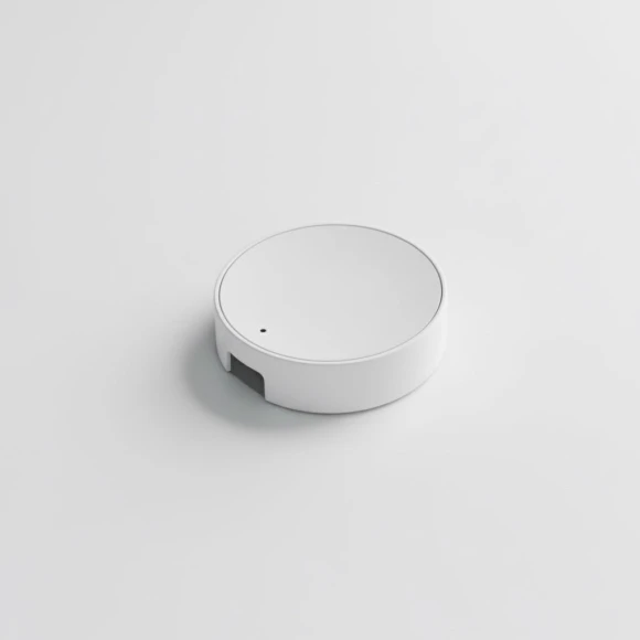 Smart Home Hub — Smart Home Hub, Flic
