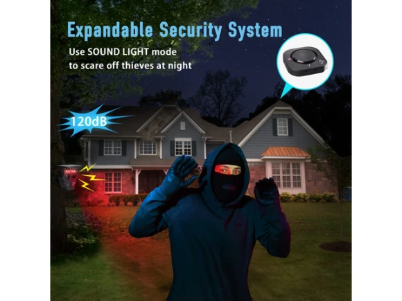 Wireless Solar Driveway Alarm System, 1R1S — Motion Sensor, Generic Logic, Inc.