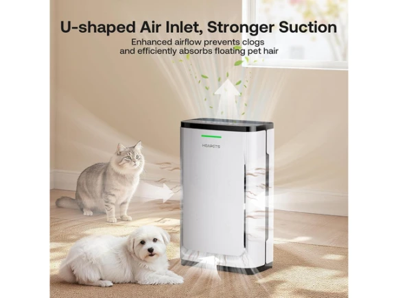 Air Purifier — Air Purifier, ANCREU
