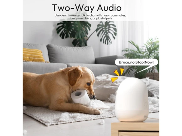 Indoor Security Camera — Security Camera, Rraycom