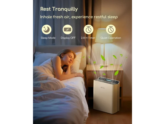 Air Purifier with PM2.5 Monitor and Smart Auto Mode — Air Purifier, Afloia