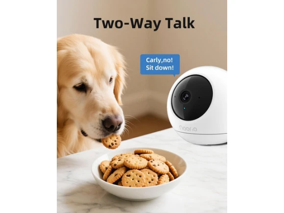 Indoor Security Camera — Security Camera, Noorio