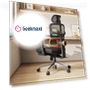 Превью Ergonomic Chair with Lumbar Support, Adjustable Armrest, Headrest, Footrest, 4D Mesh — Desk Chairs, NEWTRAL