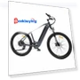 Electric Bike — Electric Self-Balancing Scooters, HAVSCO