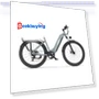 Electric Bike — E-Bikes, Onesport