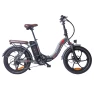 Electric Bike, Fafrees