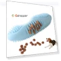 Превью Chewing Molar Stick Pet Toy — Toys