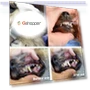Превью Pet Teeth Cleaning Tool — Toothbrushes