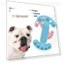 Превью Chewing Teeth Cleaning Toy — Toys
