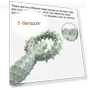 Превью Pet Pull Ring Teething Stick Toy — Toys