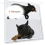 Dog Molar Stick Cleaning Bite Toy — Toys