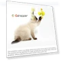Funny Cat Toy — Cat Playthings