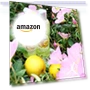 Превью Christmas Gift Set for Women - 2 Piece Body Lotion & Body Wash Set — Women, Un Air d'Antan