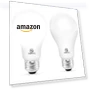 Превью 150 Watt Equivalent LED Light Bulb — Compact Fluorescent, ENERGETIC SMARTER LIGHTING