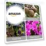 Превью Reusable Plastic Plant Clips for Climbing Plants — Clamps, FKMEE