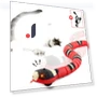 Interactive Automatic Electronic Snake Toy — Cat Playthings, Exquisite pets