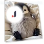 Realistic Plush Robot Penguin — Interactive, Yousheng