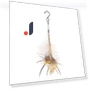 Smart Bird Feeder — Backyard Birding, Excellent stuff
