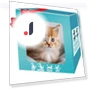 Realistic Robot Cat — Cameras & Monitors, Happy Camp