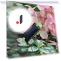 Solar Powered Insect Robot — Solar Power, Linmeng
