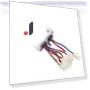 500W Motor Controller — Motors, Funnydays-duoqiao